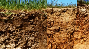 Documental sobre Agricultura Ecológica