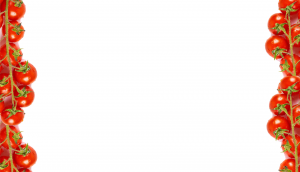 La Huertoteca, especialistas en huertos urbanos