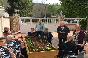 Hortoterapia en residencias