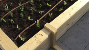 Huertos para particulares