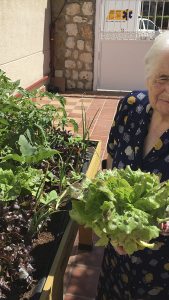 Huertos para residencias