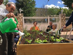 Talleres de hortoterapia en residencias