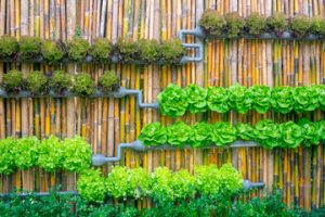 Huertos urbanos de diseño en Madrid | La Huertoteca