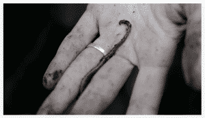 Documental huertos urbanos ecológicos