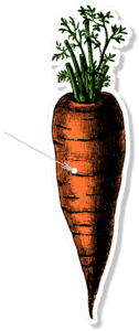 Zanahorias, color naranja