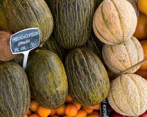 Cultivo de melones en el huerto