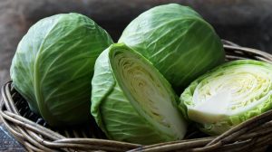 Col: cultivo huerto urbano