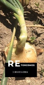 Retorcer el cuello de la cebolla