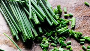 Cebollino: planta aromática