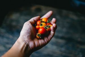 ¿Cuál es el mejor mes para plantar tomates cherry?