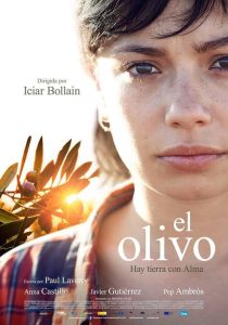 El Olivo, película dirigida por Iciar Bollaín