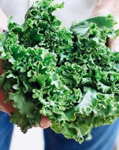 Kale, un superalimento