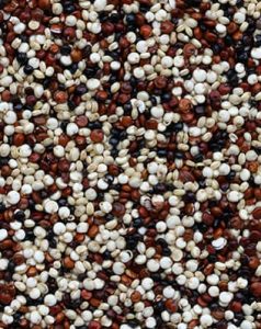 Quinoa, superalimento