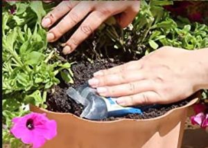 Gel para autorriego de plantas