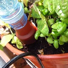 Riego para plantas con botellas