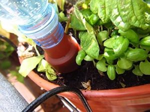 Riego para plantas con botellas