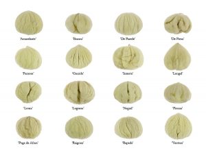 Aspecto interior de las castañas