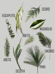 Tipos de hojas para decorar la casa en Navidad