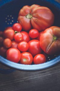 ¿Por qué se marchitan las flores de los tomates?